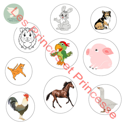 Planche animaux domestique